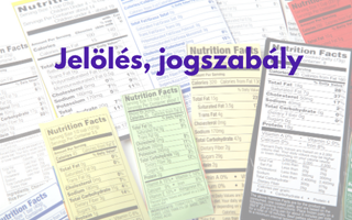 Oktatás